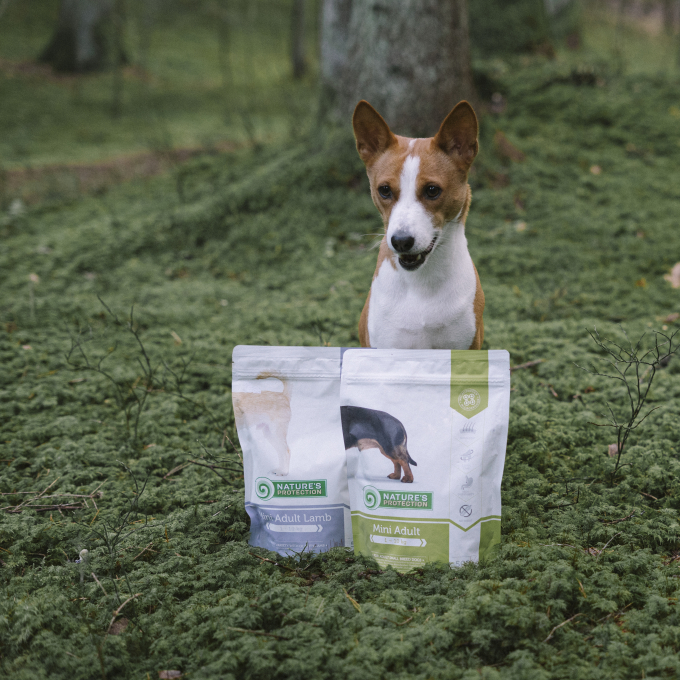 dry food for adult small breed dogs with poultry and krill